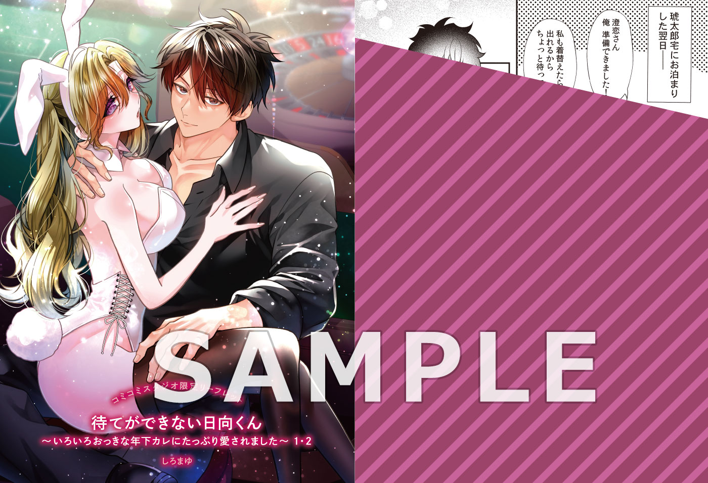 日向くんリーフレット